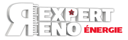 Expert-Reno Logo